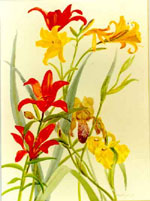 �����, ���., �., 1992 49�36