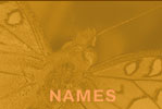 NAMES