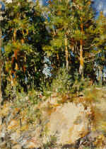 Midday. 1995. Canvas, oil. 32�57 