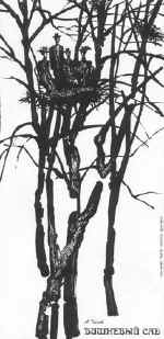 "�������� ���". �����.